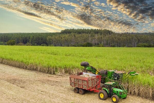 img-area-atuacao-agronegocio